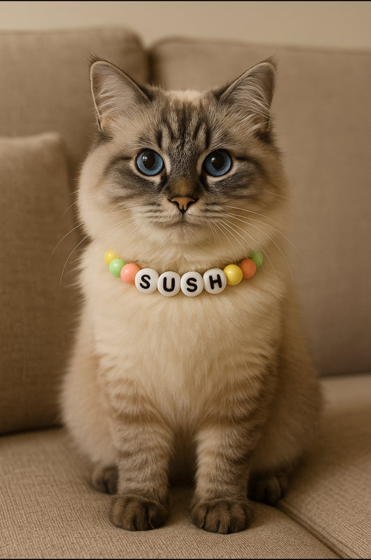 BFF Cat Collar + Free Matching Bracelet