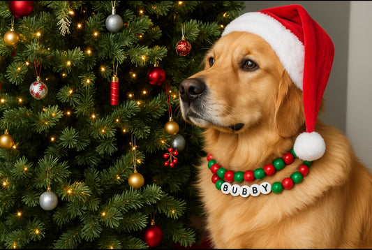 Christmas BFF Dog Collar+ Matching Bracelet