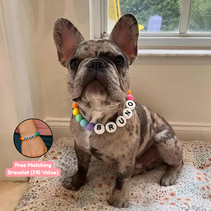 BFF Dog Collar + Free Matching Bracelet